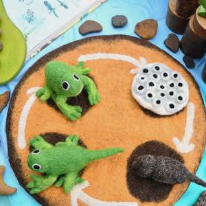 Toys: Felt Lifecycle of a Frog
