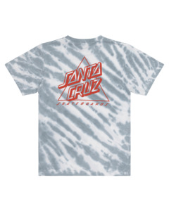 Boys Tops: Santa Cruz Not A Dot Hollow Short Sleeve Tee Youth