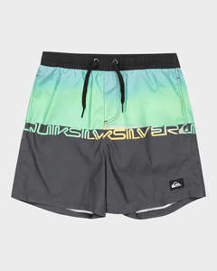 Quiksilver Everyday Straight Volley Youth 14"