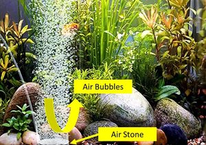 Autopot Autopot Accessories Self Watering Accessories: Air Stones - 4 types