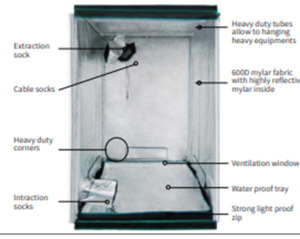 Grow Tent 1.2 x 1.2 x 2 m (h)