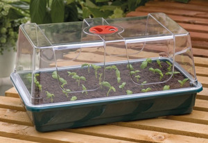Plant Growing Trays: Propagator - Large High Dome (Garland)