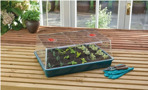 Propagator - XL High Dome
