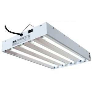 Propagation Fluorescent Light-Quad