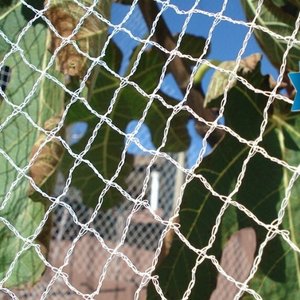 Bird netting 5 m wide
