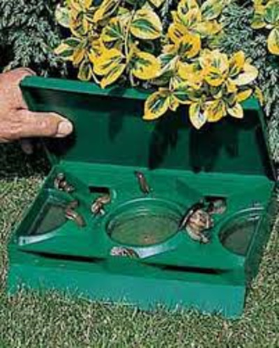 Organic Natural Pest Control: Slug X Snail & Slug Trap