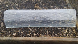 Organic Natural Pest Control: Poly Cloche