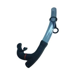 Canal2 Snorkel