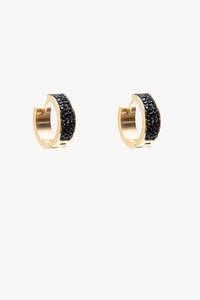 Raven Earring