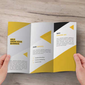 Marketing Materials: Brochure