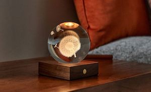 Crystal Light: Walnut Dandelion 3D Laser Light