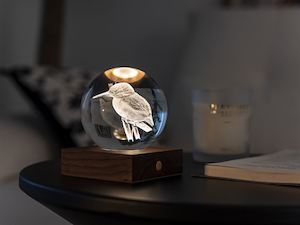 Lamps: Kingfisher 3D Laser Engraved Light