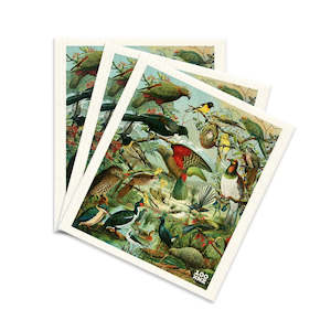 Eco Kitchen: Native Birds Swedish Dishcloths