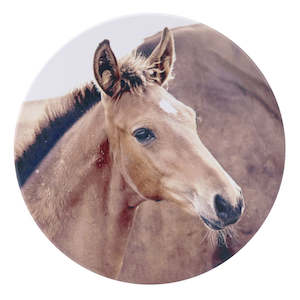 Coasters: Rustic Meadow Foal Ceramic Coaster