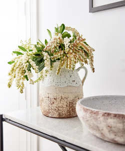 Jugs: Pebbles Terracotta Jug