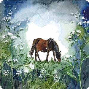 Horse & Cow Parsley Coaster
