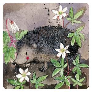 Coasters: Mr Prickly Coaster