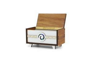 Pop Icon Box Koru