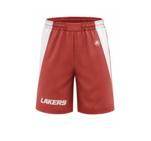 All: Lakers Basketball Playing Shorts