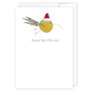 For Kids: Dream big Santa Kiwi