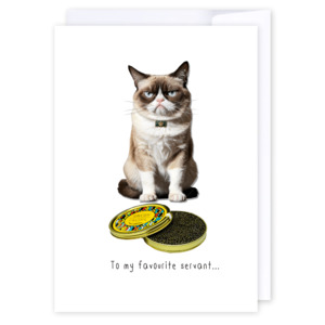 Cards: To my favourite servant