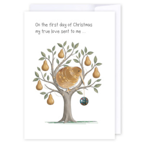 Cards: Kiwi in a pear tree