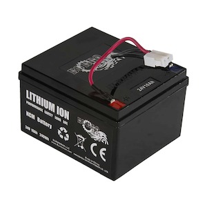 Products: Replacement Battery for TT350R Mini Bike - Iconic Mini Bikes
