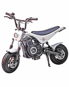Products: TT1000R Thunderbolt Mini Bike Iconic Mini Bikes