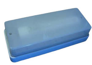 Bulkhead 12W 5000K 12VDC IP66 IK08 White