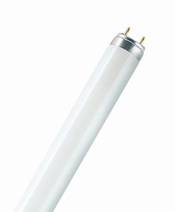 Fluorescent 38: Tube Natura 36W T8 76