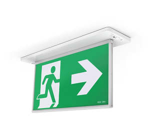 Specification 46: Razor Emergency Exit Light D29 Recessed 24m