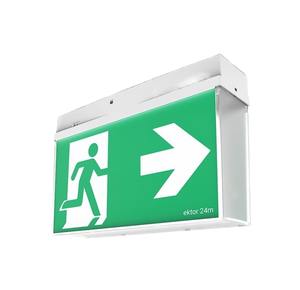 Specification 46: Lynk Mercury Pro Emergency Exit 24m Wireless