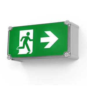 Specification 46: Boxit Pro Exit Light Wall Mount Dali 24m