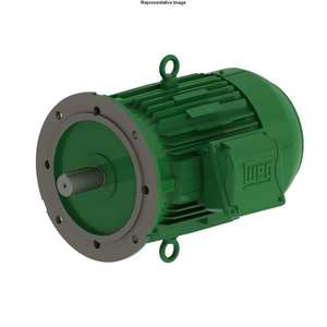 W22 Motor 5.5kW 3Ph 2P A Flange 132S IP66 B5