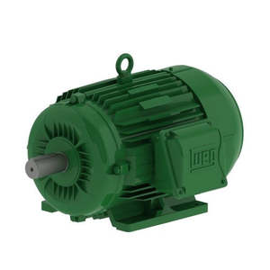 Electrical Motors Transmission 108: W22 Motor 3kW 3Ph 4P Foot Mnt 100L IP66 B3
