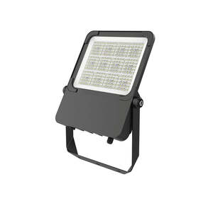 Bright Star II Floodlight 320 Power Select TC Dim Bk