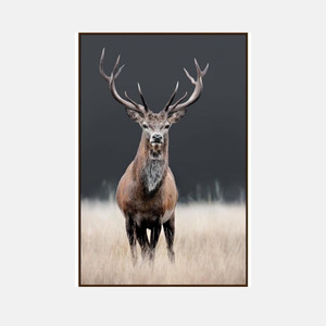 Royal Stag Canvas