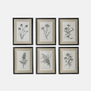 Wall Art 1: Botanical Wall Art Set of Six