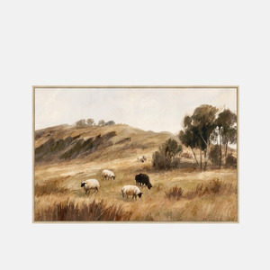 Roam Canvas