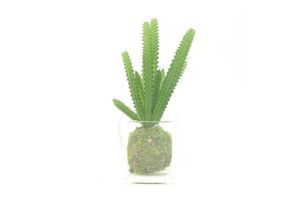 ARTIFICIAL PLANT 288 with Vase (6.5x20cm)
