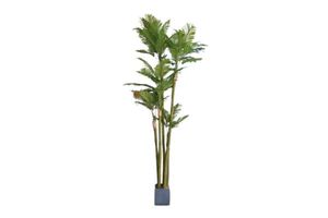 Products: Artificial Plant 360cm Palm With Square Concrete Pot
