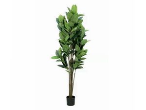 Artificial Plant Rubber Tree 160cm