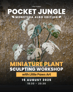Creative Workshop: Pocket Jungle - Monstera Albo