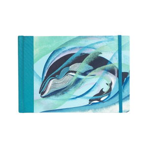 Eileen Mayo Journal Humpback and Bottlenose