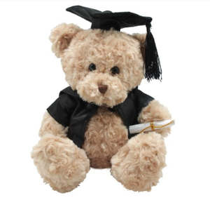 Birthday: Brainy Box Graduation Bear