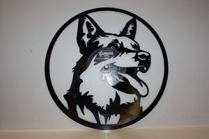 Miscellaneous: Blue Heeler