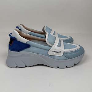 Hispanitas albarin celeste