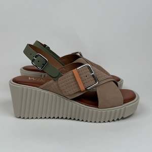 Wikers Trace nocciola