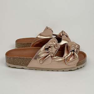 Verbenas rain monrovia