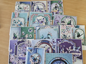 Products: Imagine If Butterfly 14 Card Kit